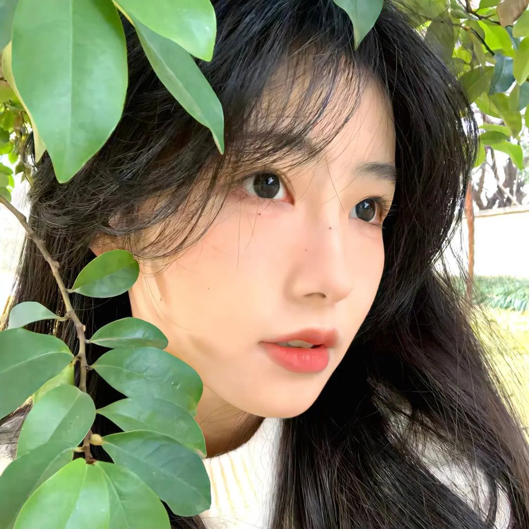 寂灭之境第一季